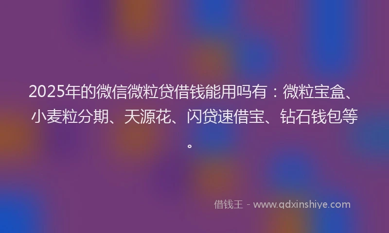 2025年的微信微粒贷借钱能用吗有：微粒宝盒、小麦粒分期、天源花、闪贷速借宝、钻石钱包等。