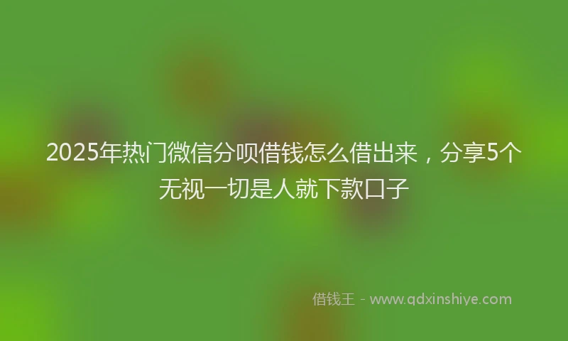 2025年热门微信分呗借钱怎么借出来，分享5个无视一切是人就下款口子
