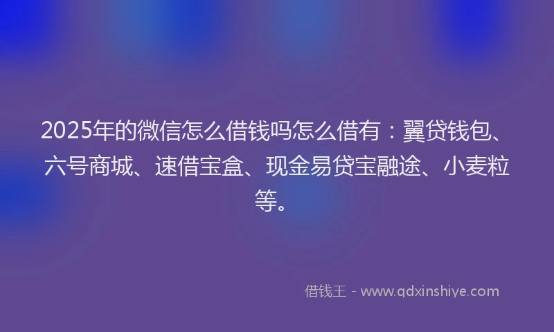 2025年的微信怎么借钱吗怎么借有：翼贷钱包、六号商城、速借宝盒、现金易贷宝融途、小麦粒等。