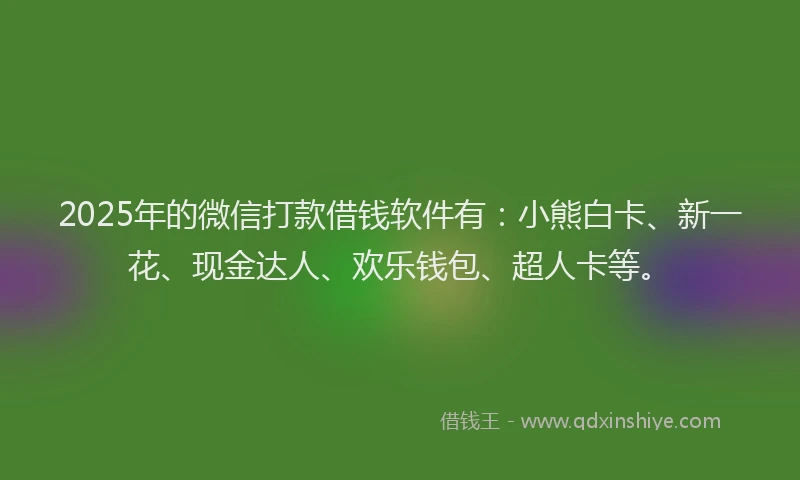 2025年的微信打款借钱软件有：小熊白卡、新一花、现金达人、欢乐钱包、超人卡等。