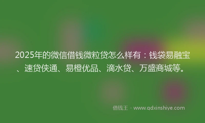 2025年的微信借钱微粒贷怎么样有：钱袋易融宝、速贷侠通、易橙优品、滴水贷、万盛商城等。