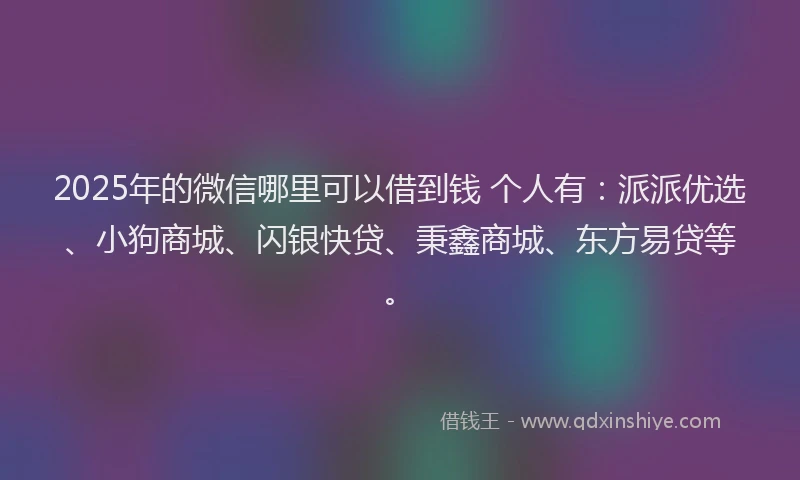 2025年的微信哪里可以借到钱 个人有：派派优选、小狗商城、闪银快贷、秉鑫商城、东方易贷等。