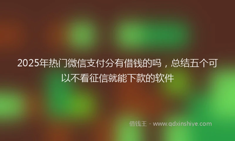 2025年热门微信支付分有借钱的吗，总结五个可以不看征信就能下款的软件