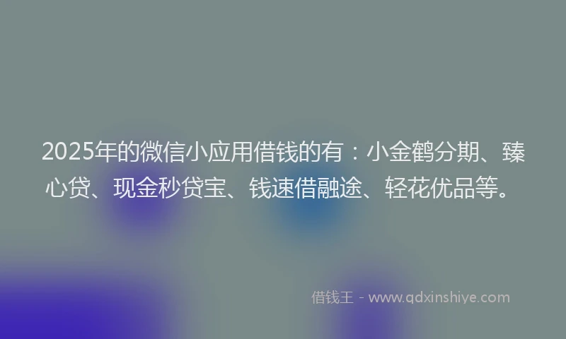 2025年的微信小应用借钱的有：小金鹤分期、臻心贷、现金秒贷宝、钱速借融途、轻花优品等。