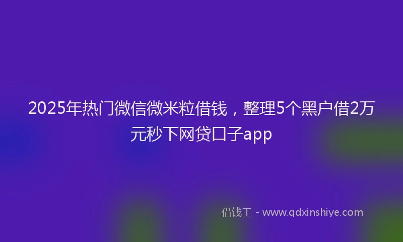 2025年热门微信微米粒借钱，整理5个黑户借2万元秒下网贷口子app