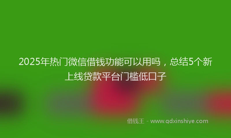 2025年热门微信借钱功能可以用吗，总结5个新上线贷款平台门槛低口子