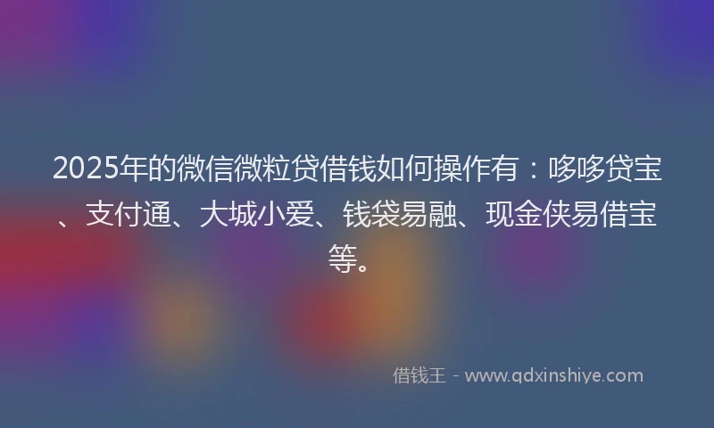 2025年的微信微粒贷借钱如何操作有：哆哆贷宝、支付通、大城小爱、钱袋易融、现金侠易借宝等。