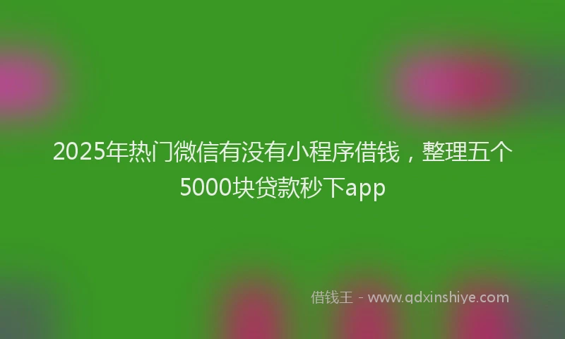 2025年热门微信有没有小程序借钱，整理五个5000块贷款秒下app