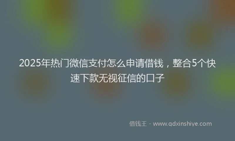 2025年热门微信支付怎么申请借钱，整合5个快速下款无视征信的口子