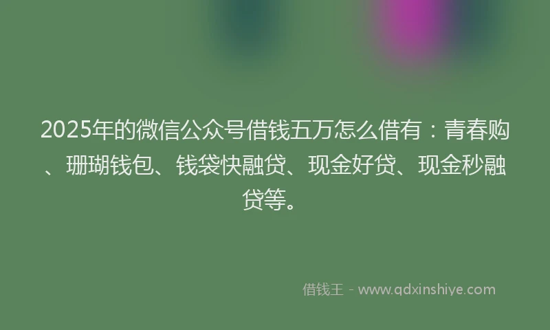 2025年的微信公众号借钱五万怎么借有：青春购、珊瑚钱包、钱袋快融贷、现金好贷、现金秒融贷等。