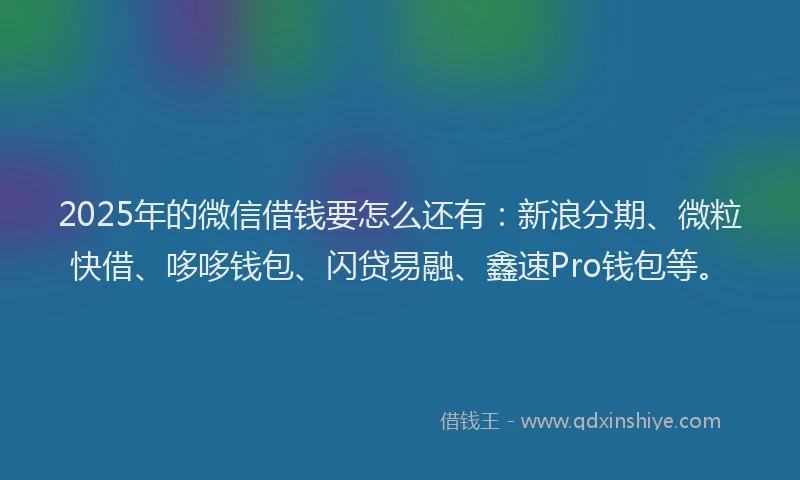 2025年的微信借钱要怎么还有：新浪分期、微粒快借、哆哆钱包、闪贷易融、鑫速Pro钱包等。