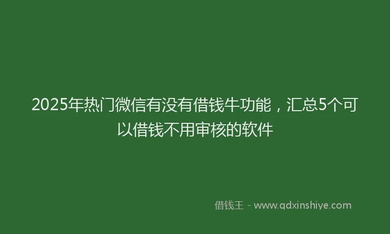 2025年热门微信有没有借钱牛功能，汇总5个可以借钱不用审核的软件