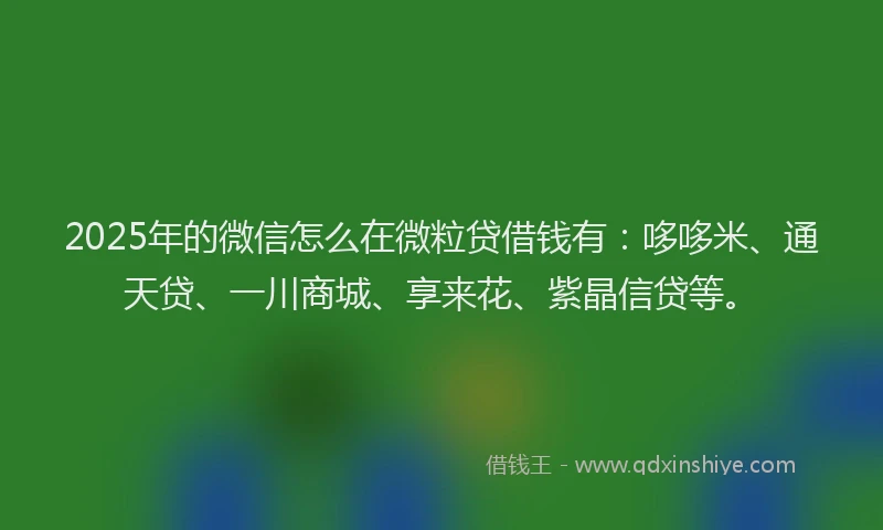 2025年的微信怎么在微粒贷借钱有：哆哆米、通天贷、一川商城、享来花、紫晶信贷等。
