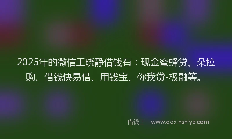 2025年的微信王晓静借钱有：现金蜜蜂贷、朵拉购、借钱快易借、用钱宝、你我贷-极融等。