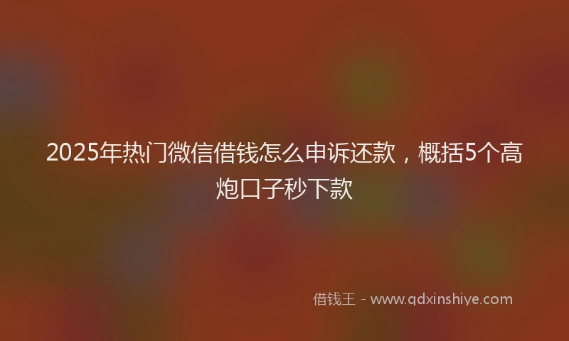2025年热门微信借钱怎么申诉还款，概括5个高炮口子秒下款