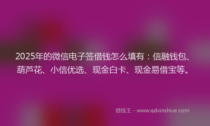 2025年的微信电子签借钱怎么填有：信融钱包、葫芦花、小信优选、现金白卡、现金易借宝等。