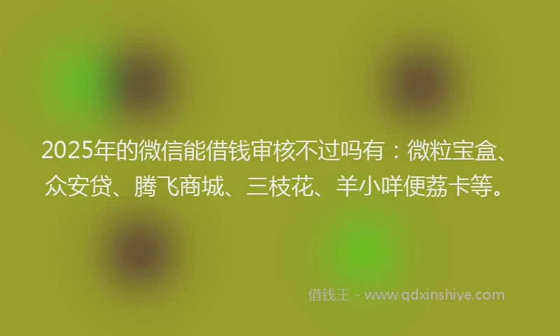 2025年的微信能借钱审核不过吗有：微粒宝盒、众安贷、腾飞商城、三枝花、羊小咩便荔卡等。