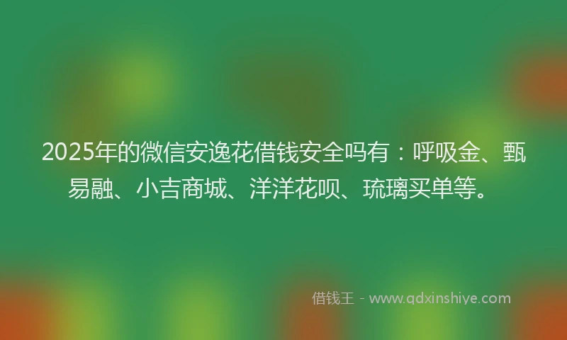 2025年的微信安逸花借钱安全吗有：呼吸金、甄易融、小吉商城、洋洋花呗、琉璃买单等。