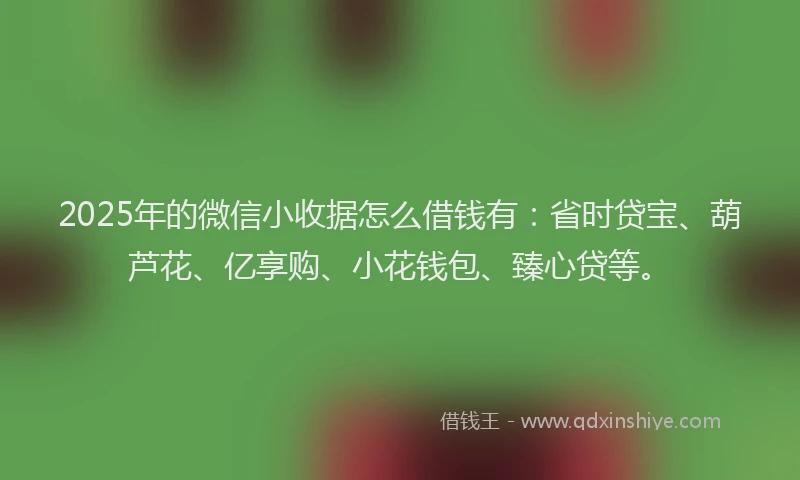 2025年的微信小收据怎么借钱有：省时贷宝、葫芦花、亿享购、小花钱包、臻心贷等。