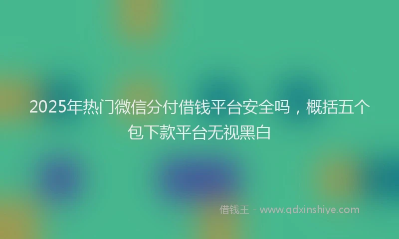 2025年热门微信分付借钱平台安全吗，概括五个包下款平台无视黑白