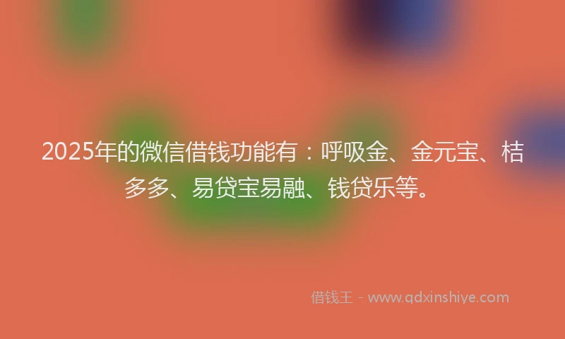 2025年的微信借钱功能有：呼吸金、金元宝、桔多多、易贷宝易融、钱贷乐等。