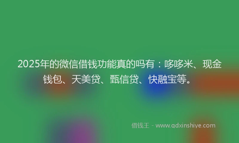 2025年的微信借钱功能真的吗有：哆哆米、现金钱包、天美贷、甄信贷、快融宝等。