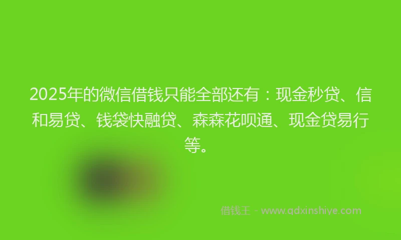 2025年的微信借钱只能全部还有：现金秒贷、信和易贷、钱袋快融贷、森森花呗通、现金贷易行等。