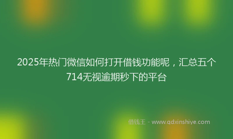 2025年热门微信如何打开借钱功能呢，汇总五个714无视逾期秒下的平台