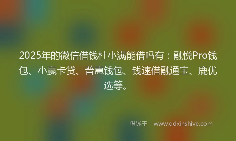 2025年的微信借钱杜小满能借吗有：融悦Pro钱包、小赢卡贷、普惠钱包、钱速借融通宝、鹿优选等。