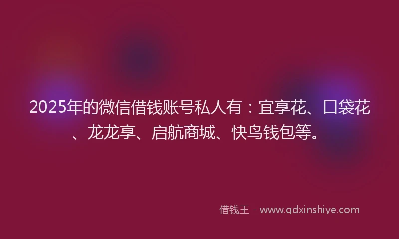 2025年的微信借钱账号私人有：宜享花、口袋花、龙龙享、启航商城、快鸟钱包等。