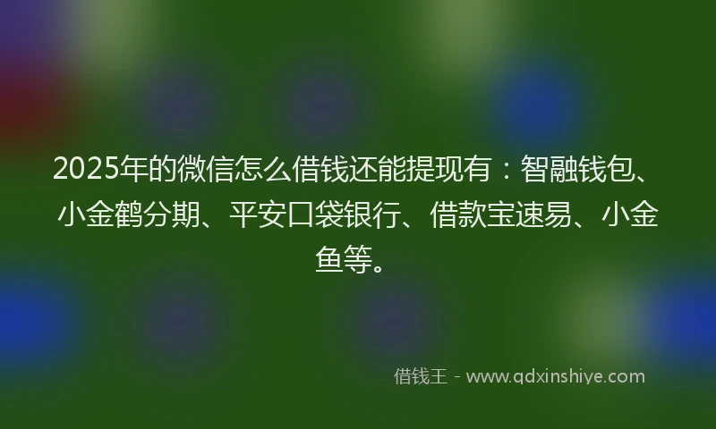 2025年的微信怎么借钱还能提现有：智融钱包、小金鹤分期、平安口袋银行、借款宝速易、小金鱼等。