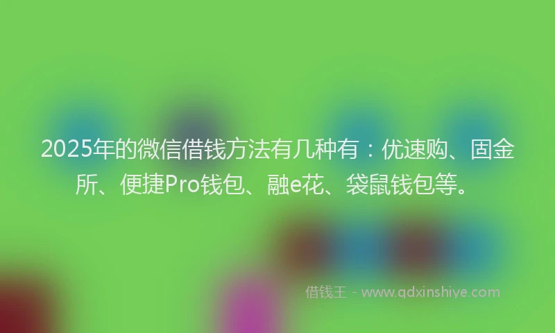 2025年的微信借钱方法有几种有：优速购、固金所、便捷Pro钱包、融e花、袋鼠钱包等。