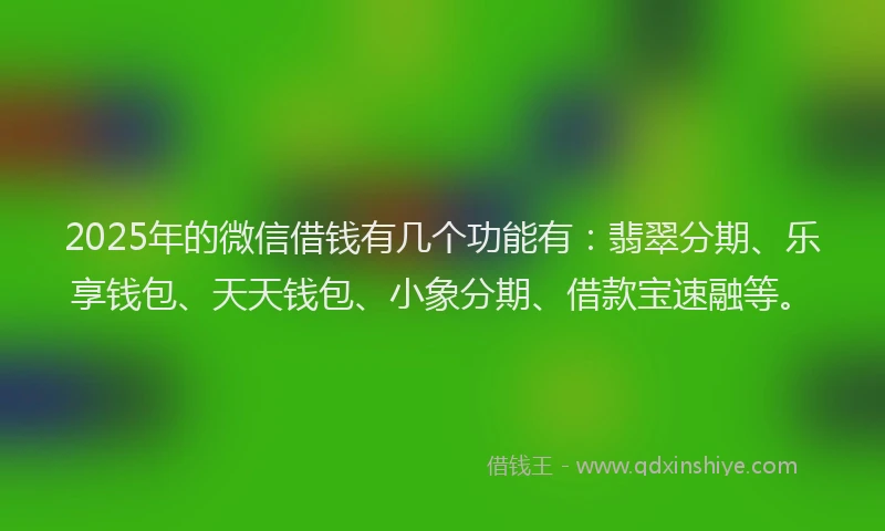 2025年的微信借钱有几个功能有：翡翠分期、乐享钱包、天天钱包、小象分期、借款宝速融等。