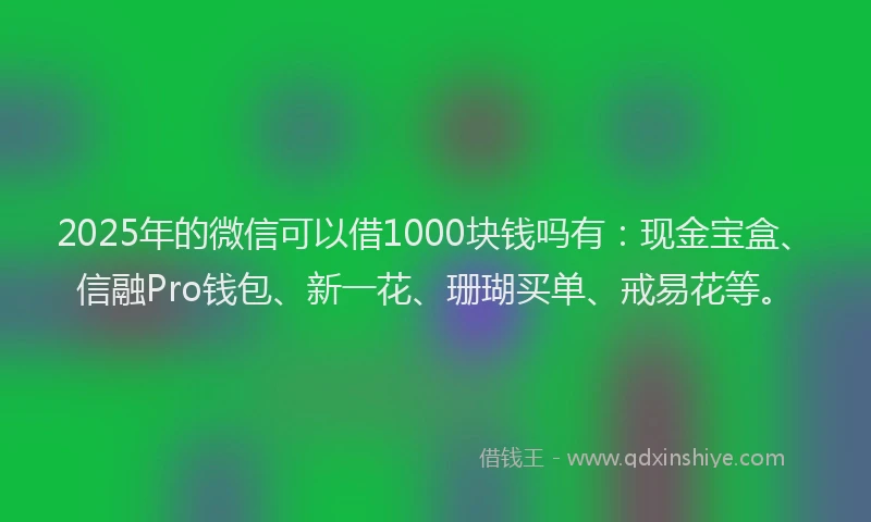 2025年的微信可以借1000块钱吗有：现金宝盒、信融Pro钱包、新一花、珊瑚买单、戒易花等。