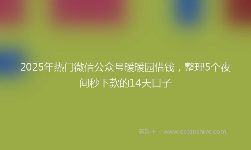 2025年热门微信公众号暖暖园借钱，整理5个夜间秒下款的14天口子
