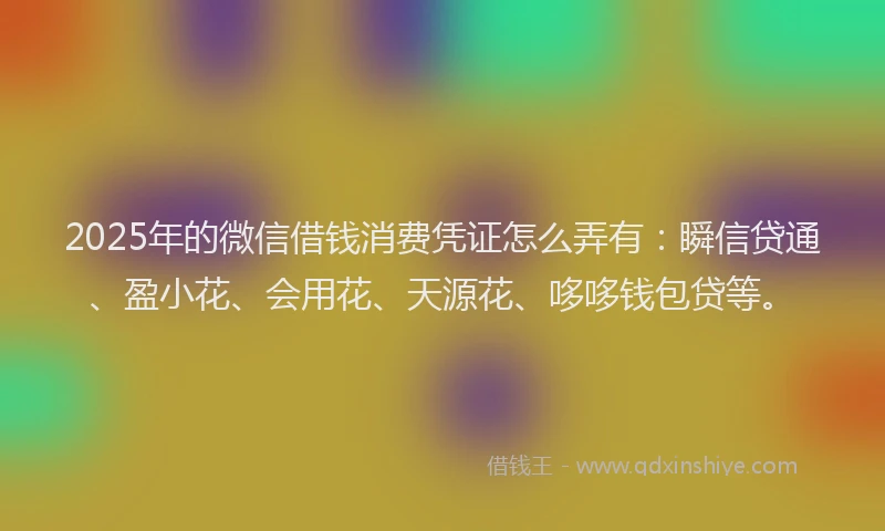 2025年的微信借钱消费凭证怎么弄有：瞬信贷通、盈小花、会用花、天源花、哆哆钱包贷等。