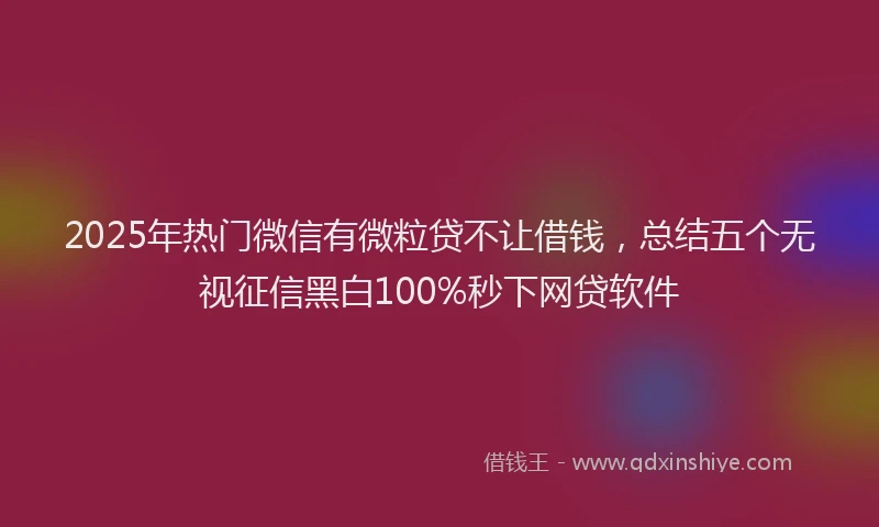 2025年热门微信有微粒贷不让借钱，总结五个无视征信黑白100%秒下网贷软件
