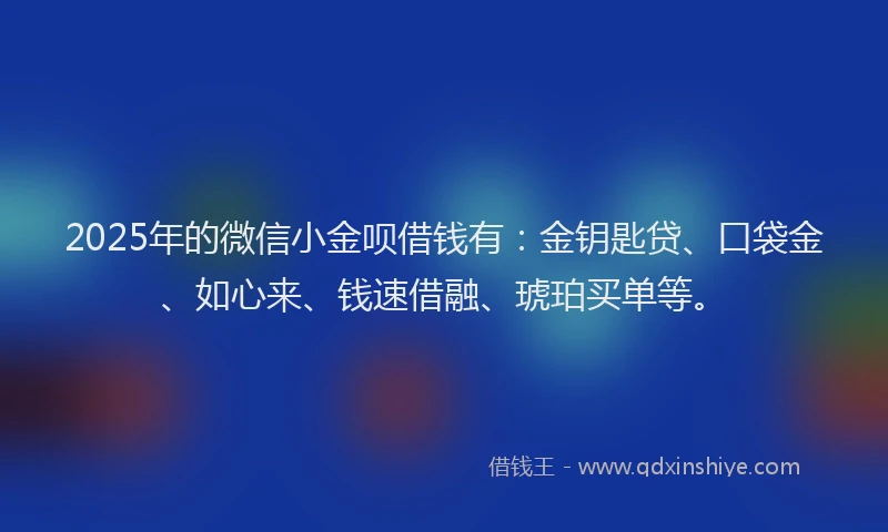 2025年的微信小金呗借钱有：金钥匙贷、口袋金、如心来、钱速借融、琥珀买单等。