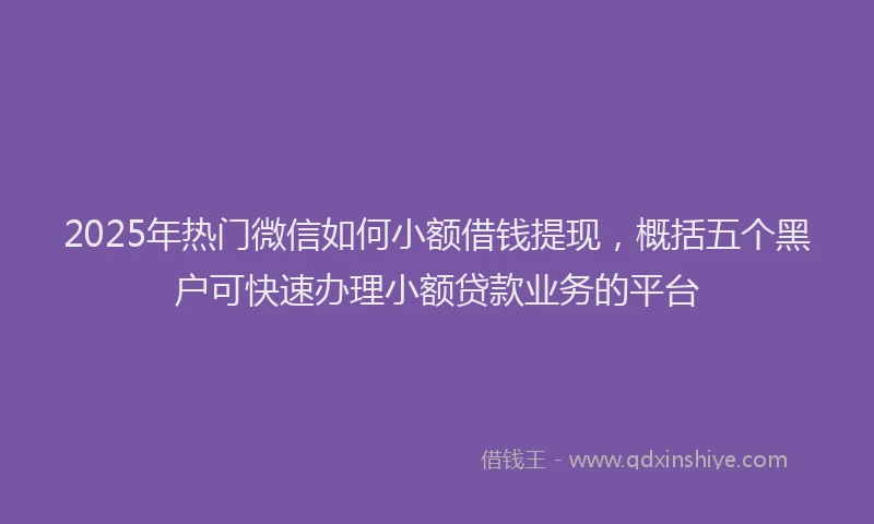 2025年热门微信如何小额借钱提现，概括五个黑户可快速办理小额贷款业务的平台