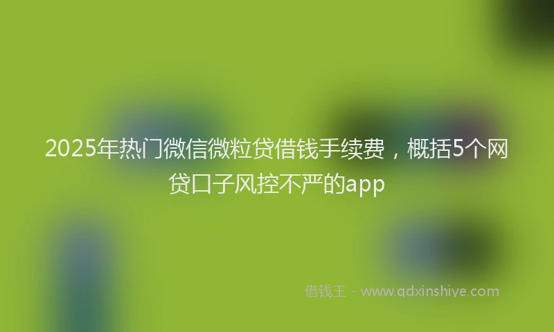 2025年热门微信微粒贷借钱手续费，概括5个网贷口子风控不严的app