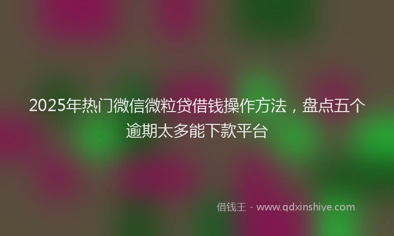 2025年热门微信微粒贷借钱操作方法，盘点五个逾期太多能下款平台