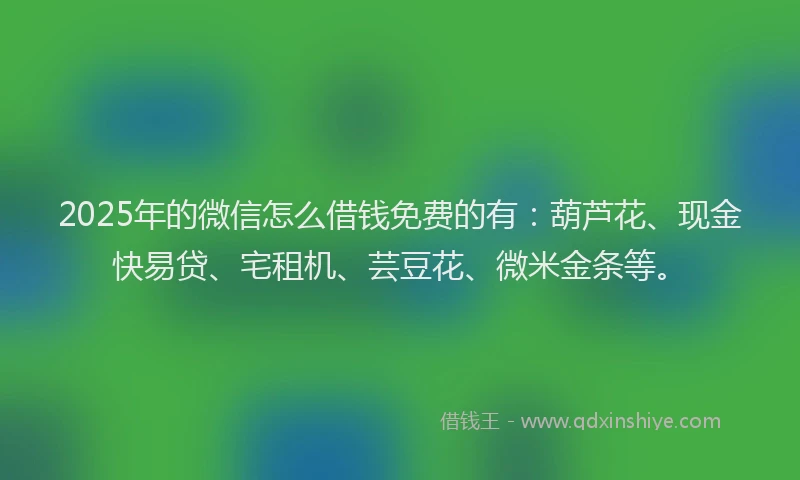 2025年的微信怎么借钱免费的有：葫芦花、现金快易贷、宅租机、芸豆花、微米金条等。