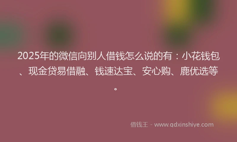 2025年的微信向别人借钱怎么说的有：小花钱包、现金贷易借融、钱速达宝、安心购、鹿优选等。