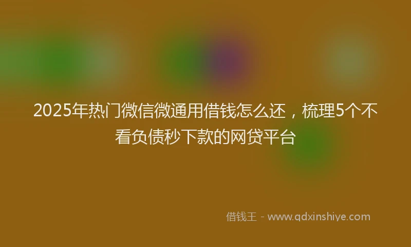 2025年热门微信微通用借钱怎么还，梳理5个不看负债秒下款的网贷平台