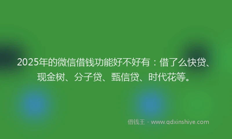 2025年的微信借钱功能好不好有：借了么快贷、现金树、分子贷、甄信贷、时代花等。