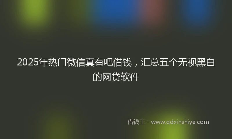 2025年热门微信真有吧借钱，汇总五个无视黑白的网贷软件
