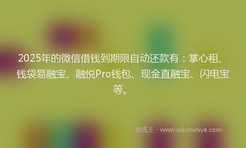 2025年的微信借钱到期限自动还款有：掌心租、钱袋易融宝、融悦Pro钱包、现金直融宝、闪电宝等。