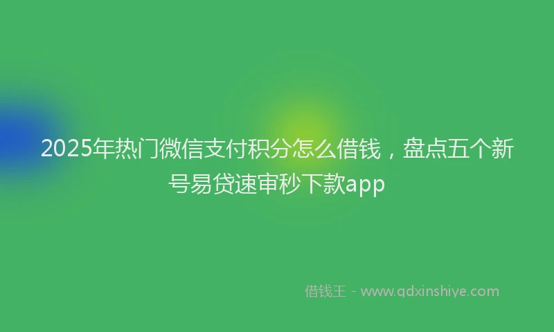 2025年热门微信支付积分怎么借钱，盘点五个新号易贷速审秒下款app