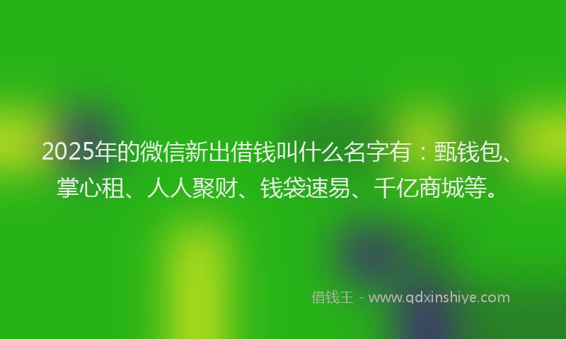 2025年的微信新出借钱叫什么名字有：甄钱包、掌心租、人人聚财、钱袋速易、千亿商城等。