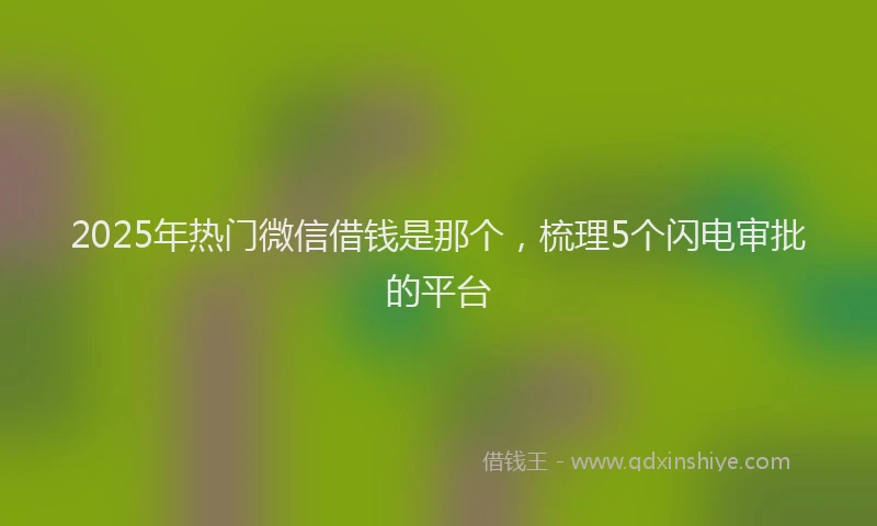 2025年热门微信借钱是那个，梳理5个闪电审批的平台